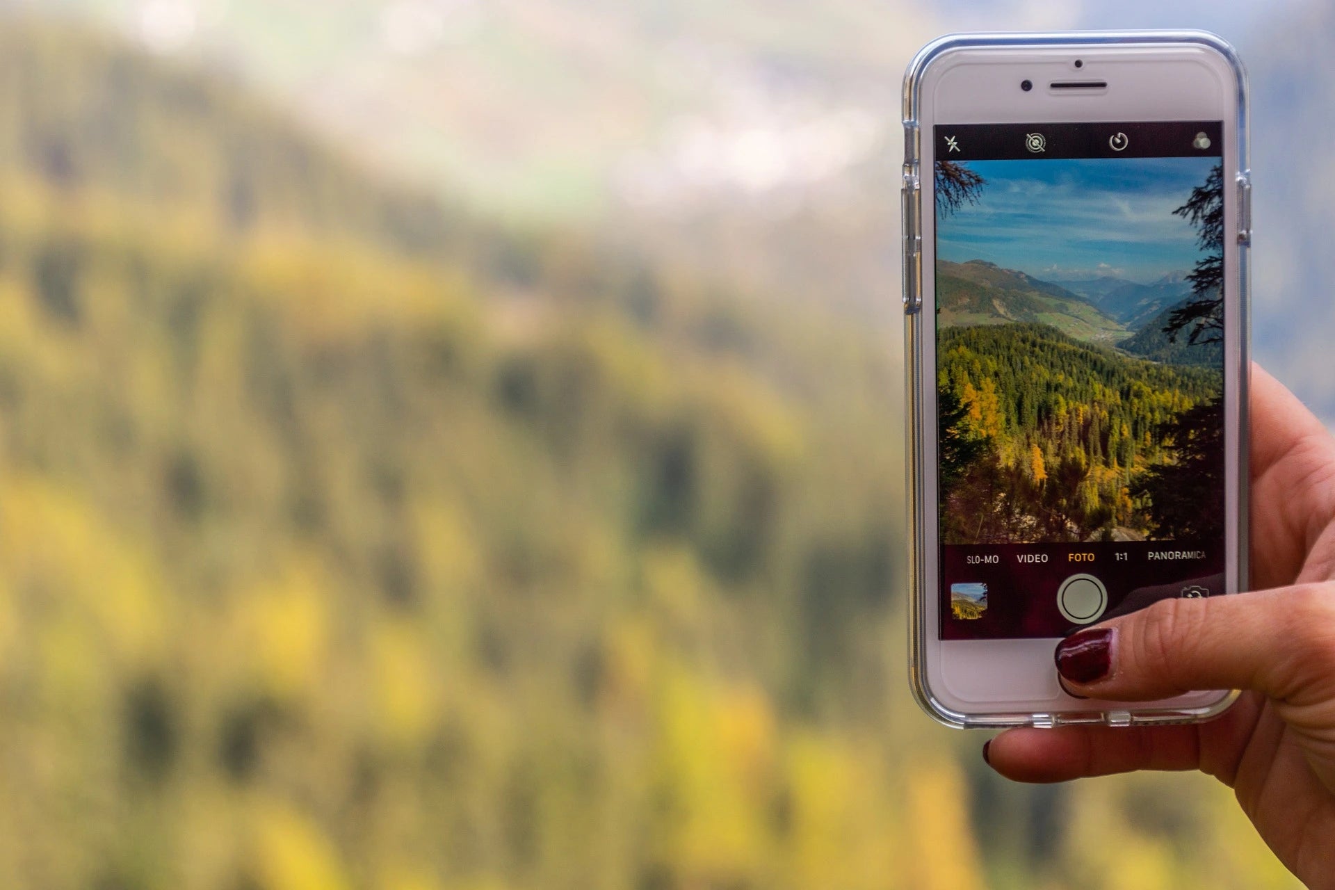 Quel forfait carte sim camera de chasse