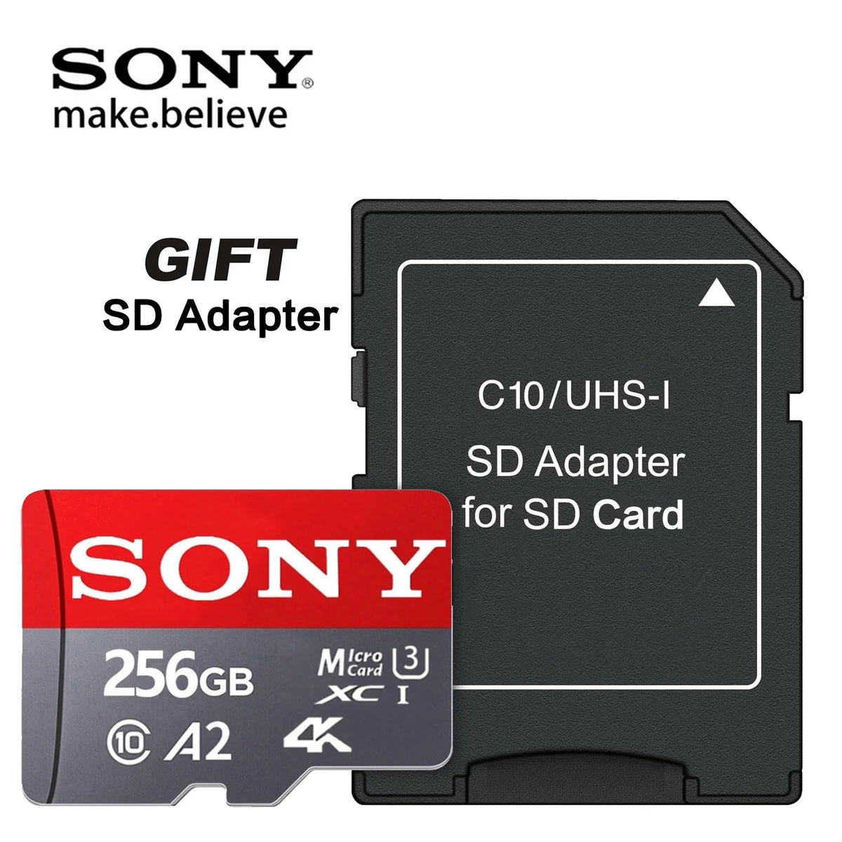 Carte Micro SD 256 GO | Malonn