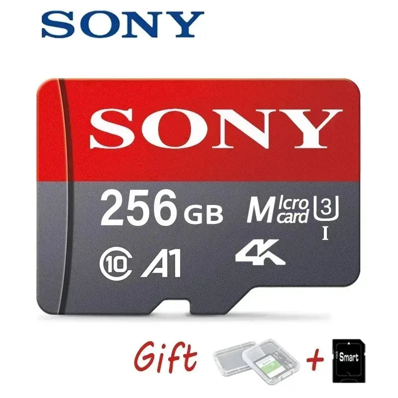 Carte Micro SD 256 GO | Malonn