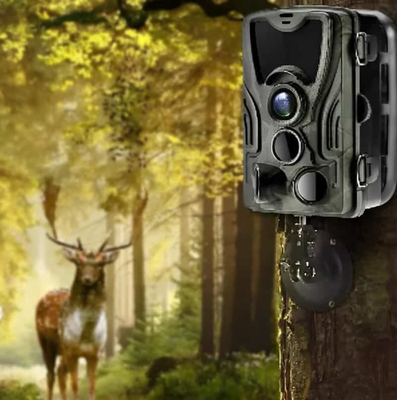 camera de chasse connectée mobile ou piège photographique pas cher
