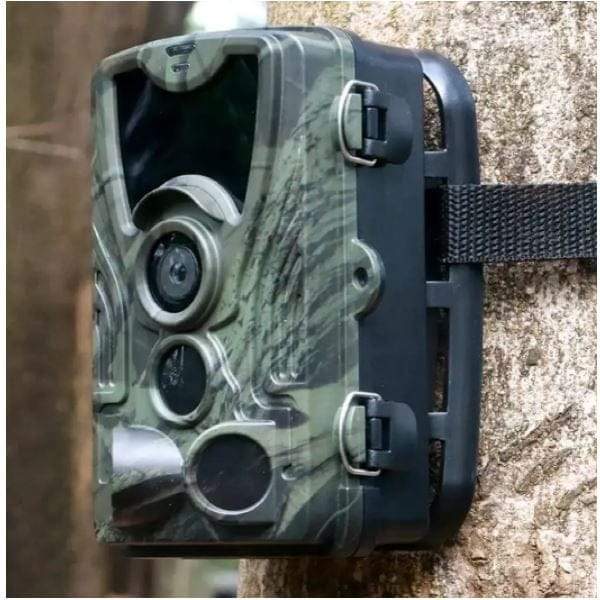 Caméra de chasse robuste hc801a installée sur un arbre en pleine forêt