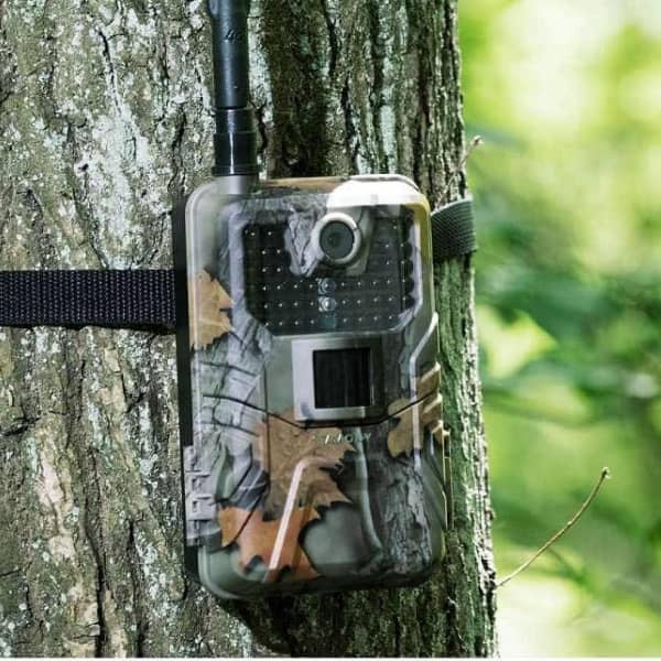 Caméra 4g pour chasse fixée sur un arbre, surveillée depuis un smartphone