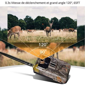 camera de chasse