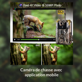Caméra connectée au téléphone détectant les mouvements dans une zone boisée