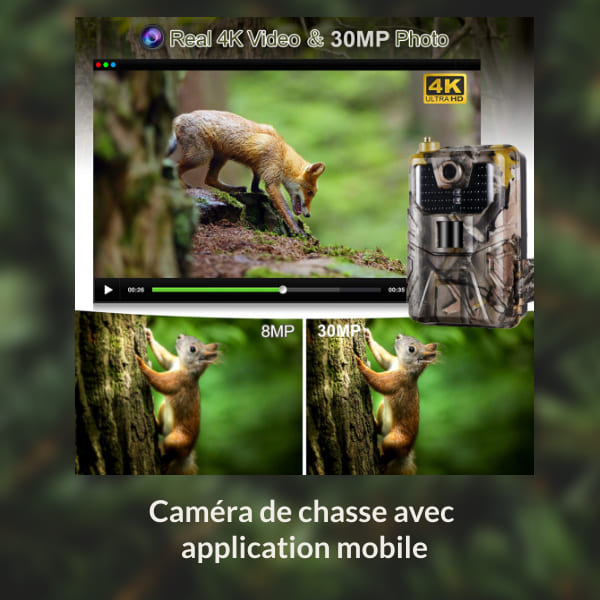 Caméra connectée au téléphone détectant les mouvements dans une zone boisée